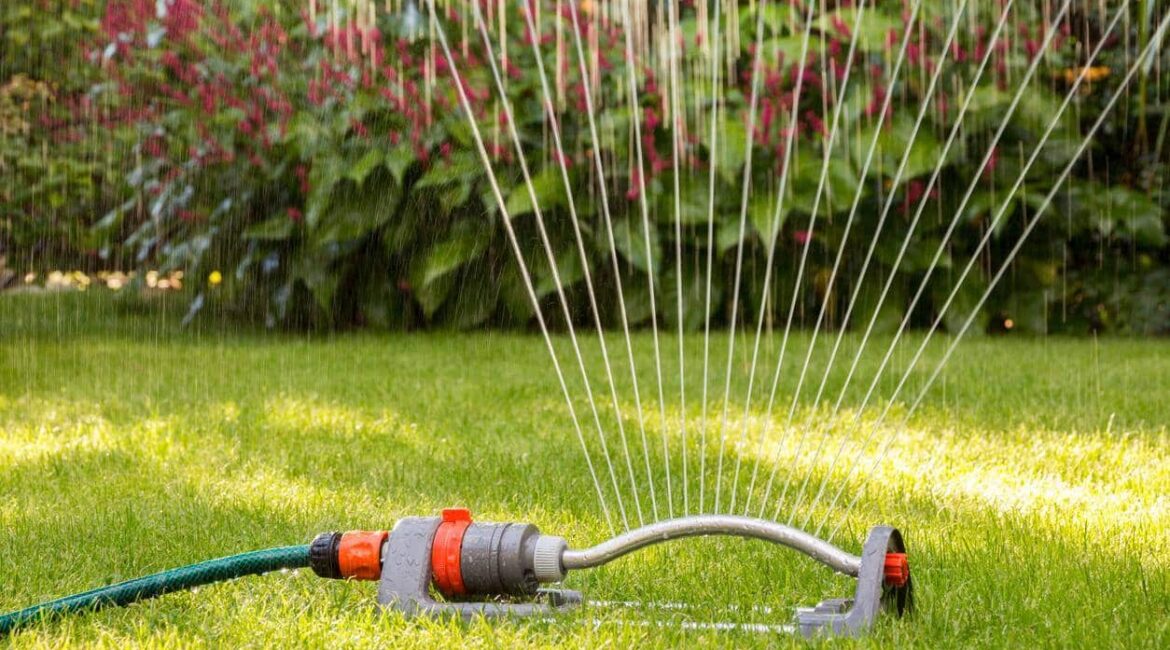 découvrez les meilleurs horaires pour arroser vos plantes afin d’optimiser leur croissance et leur santé. conseils pratiques pour un arrosage efficace en fonction des saisons et des types de plantes.