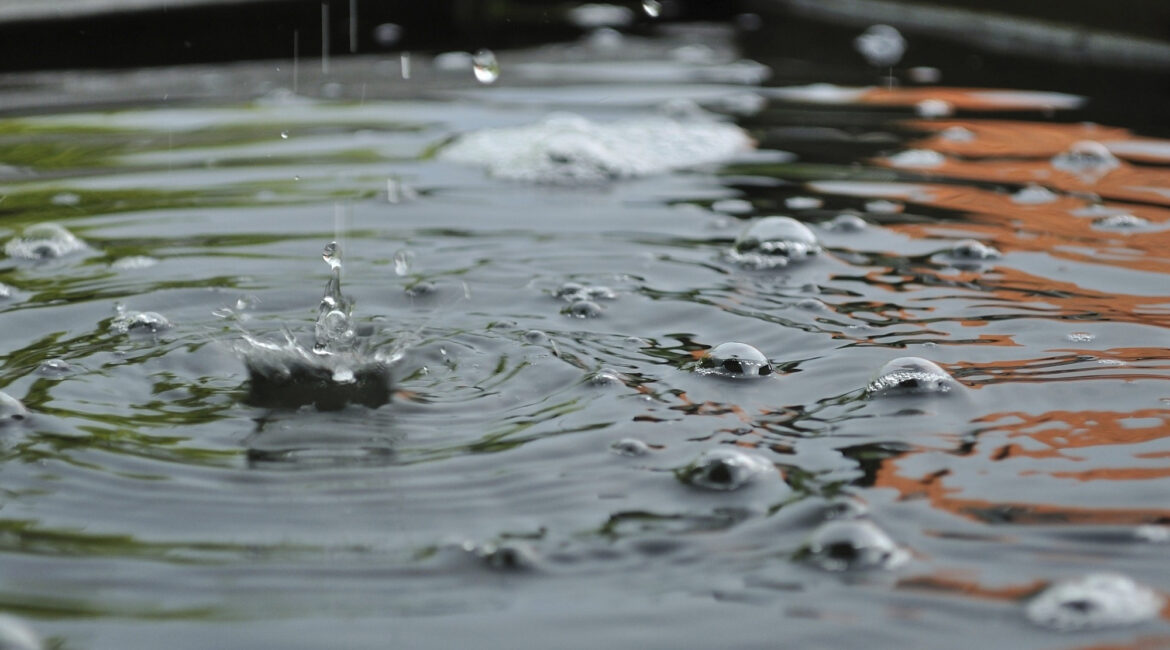 découvrez l'importance des contrôles de l'eau de pluie pour garantir sa qualité et sa sécurité. apprenez les méthodes de tests, les normes à respecter et les solutions pour une gestion responsable des eaux pluviales.