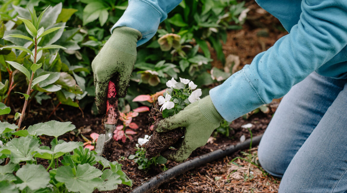découvrez les erreurs d'arrosage les plus courantes au jardin et apprenez comment les éviter pour garder vos plantes en pleine santé et économiser l'eau.