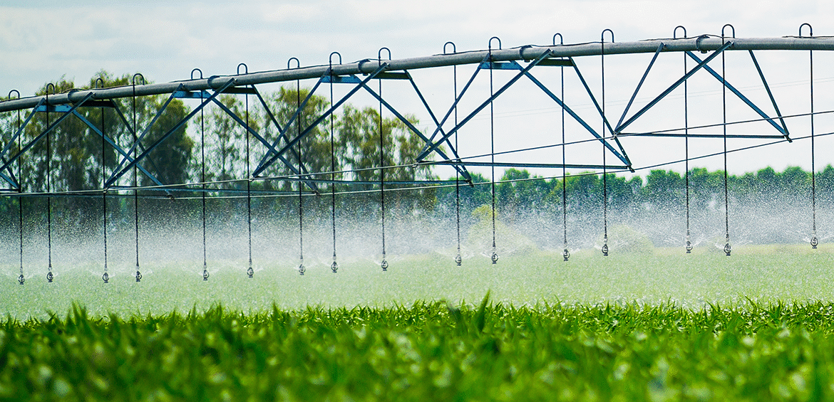 découvrez comment optimiser l'irrigation grâce à l'eau de pluie. conseils, avantages écologiques et solutions pour économiser l’eau tout en maintenant un jardin sain et verdoyant.