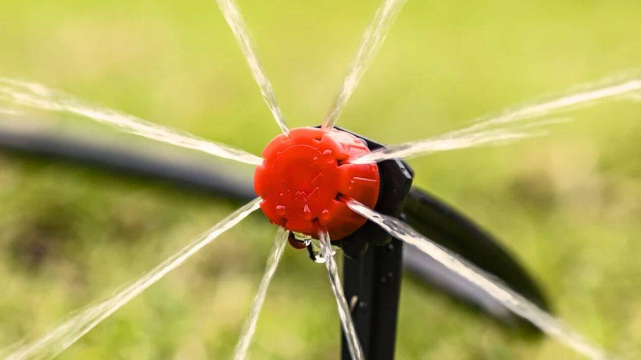 adoptez une irrigation responsable pour votre jardin : conseils pratiques, astuces écologiques et solutions économiques pour préserver l'eau tout en gardant vos plantes en pleine santé.