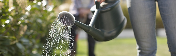 découvrez tout ce qu’il faut savoir sur les réglementations en vigueur concernant l’arrosage des jardins : restrictions, horaires autorisés et conseils pour un arrosage responsable et respectueux de l’environnement.