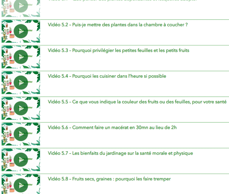découvrez comment effectuer une vérification complète de votre jardin à l'automne pour préparer vos plantes et votre terrain à l'hiver et assurer une reprise optimale au printemps.
