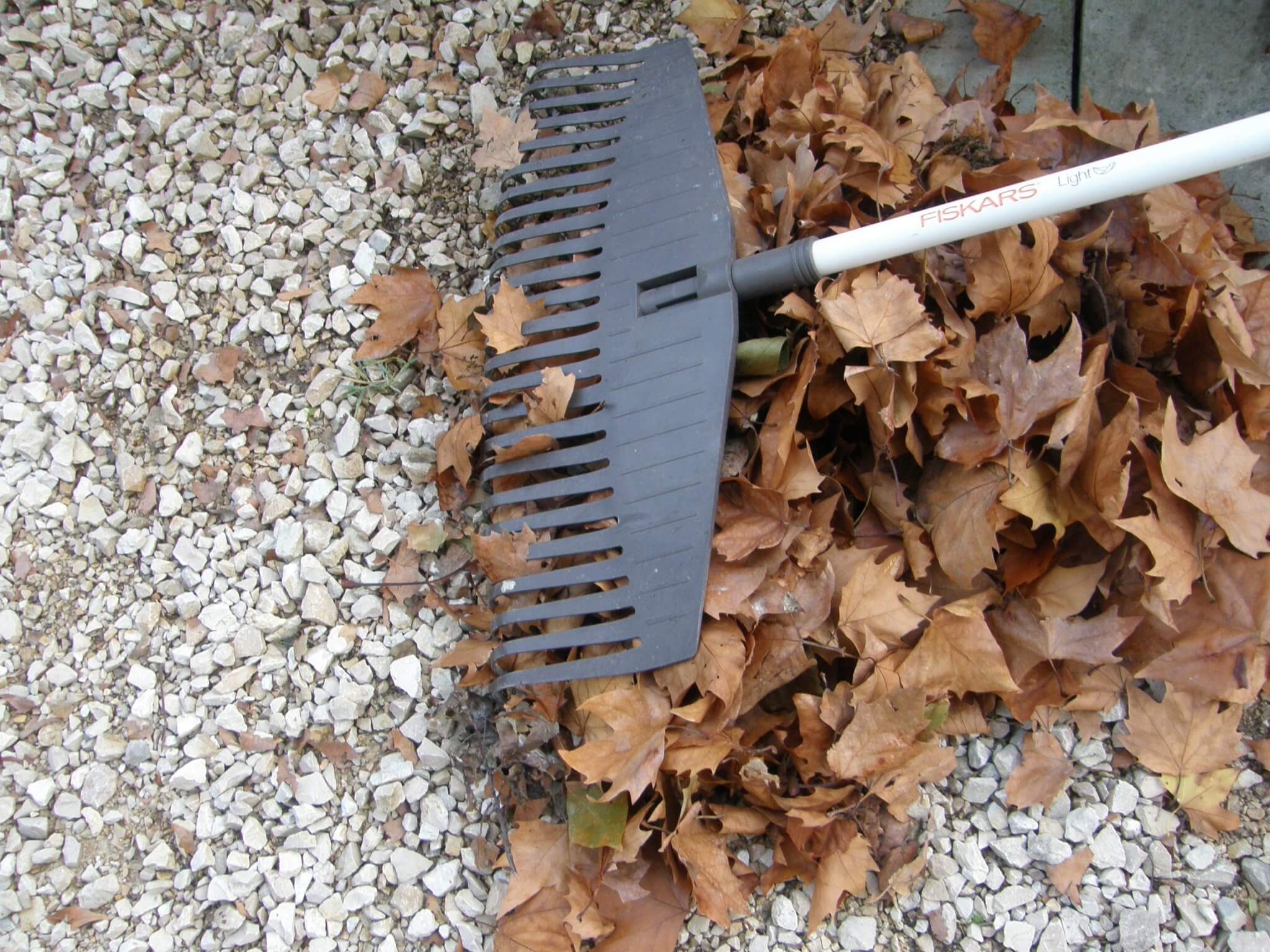 découvrez comment vérifier votre jardin en automne grâce à des conseils pratiques pour préparer vos plantes et espaces verts à la saison froide et assurer leur bonne santé.