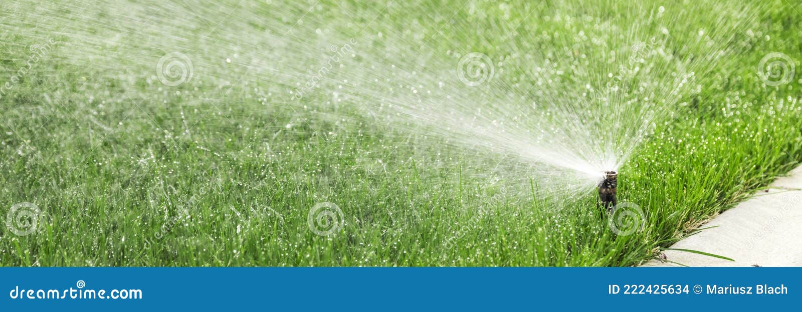 découvrez nos conseils pratiques pour arroser votre gazon efficacement et le garder vert toute l'année. apprenez quand et comment arroser votre pelouse pour des résultats optimaux.