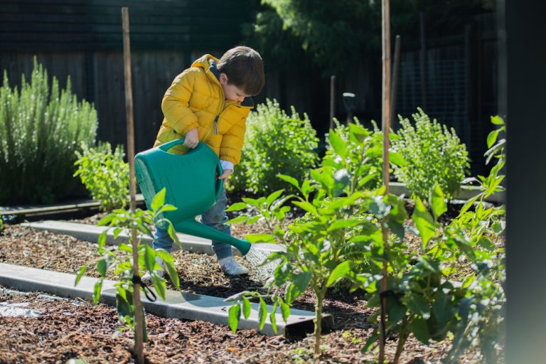 découvrez nos conseils pratiques pour bien arroser votre jardin en automne, préserver l’humidité du sol et préparer vos plantes pour l’hiver. arrosage, fréquence, techniques : adoptez les bons gestes de saison !