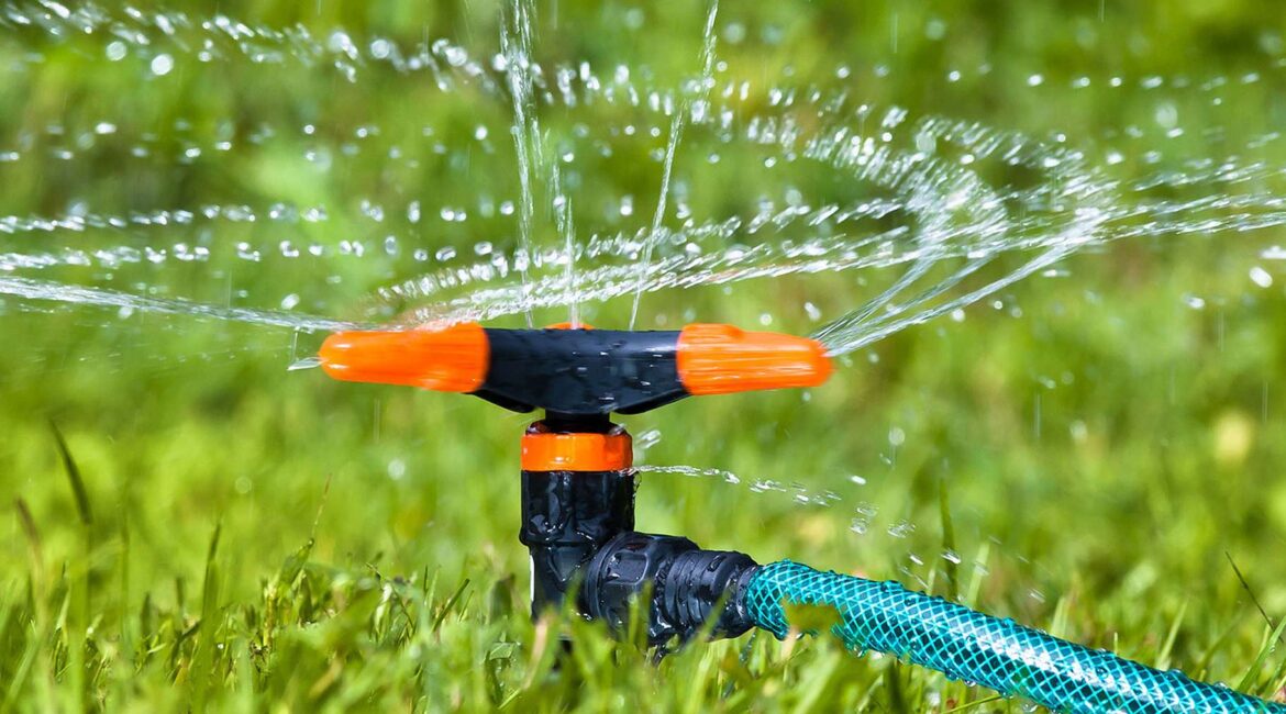 découvrez les meilleures astuces d'arrosage pour entretenir vos plantes, économiser l'eau et favoriser leur croissance toute l'année.