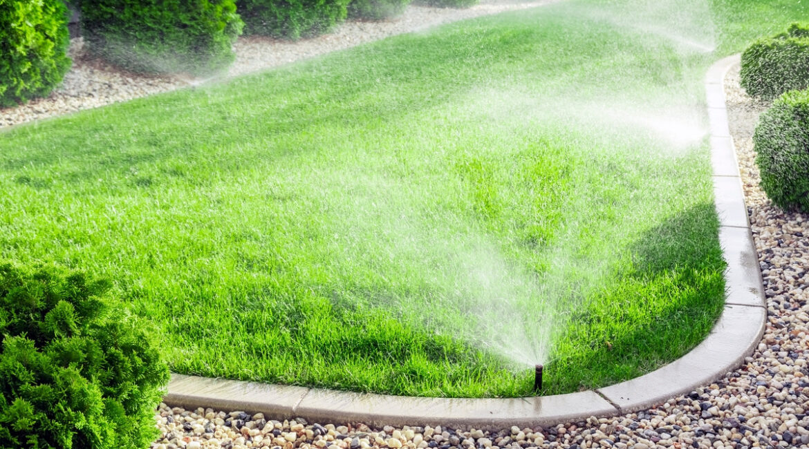 découvrez les meilleures astuces d'arrosage pour votre jardin : conseils pratiques, fréquence idéale et méthodes efficaces pour des plantes en pleine santé toute l'année.