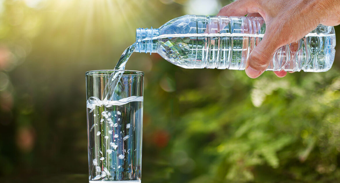 découvrez pourquoi l'eau est aussi essentielle que les graines pour la santé et le bien-être des oiseaux. apprenez à équilibrer alimentation et hydratation pour attirer plus d'oiseaux dans votre jardin.