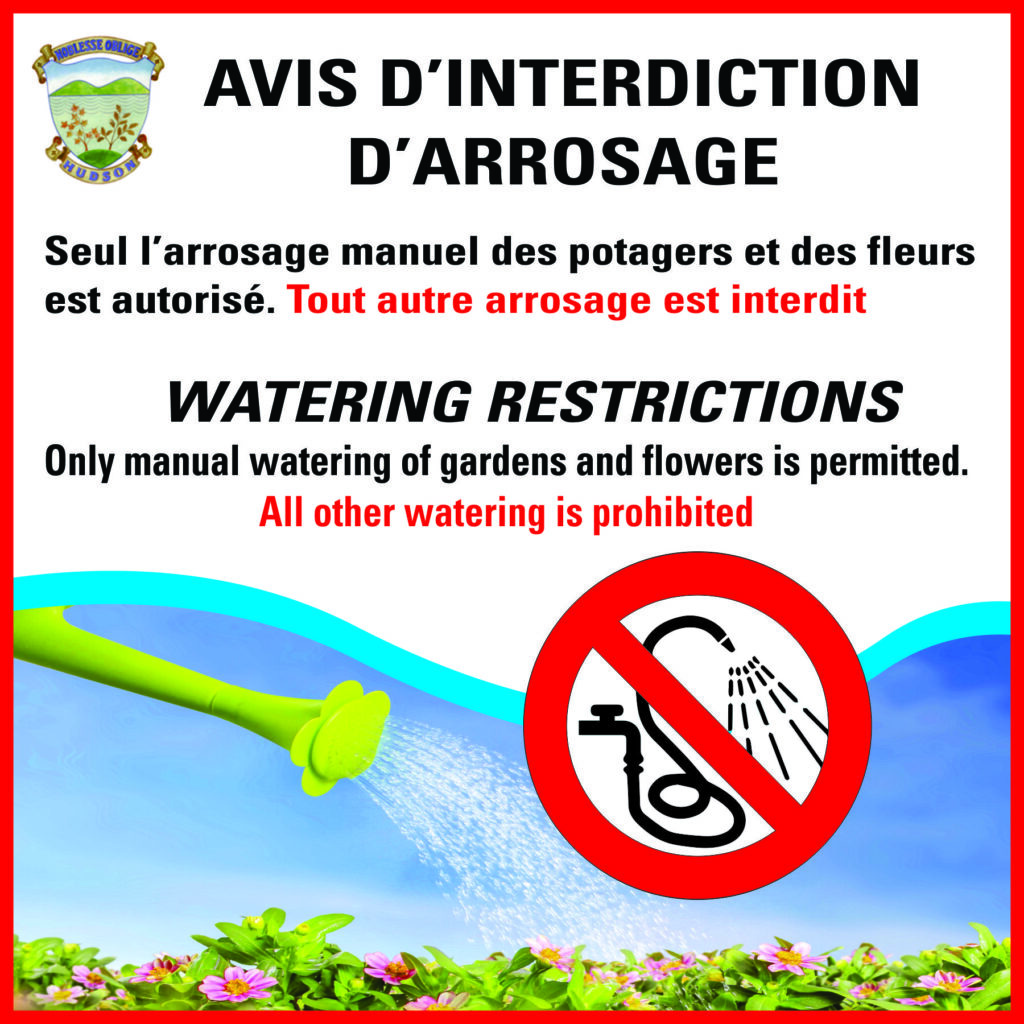 découvrez les dernières informations sur l'interdiction d'arrosage dans le hampshire : motifs, zones concernées et conseils pour économiser l'eau en période de restriction.