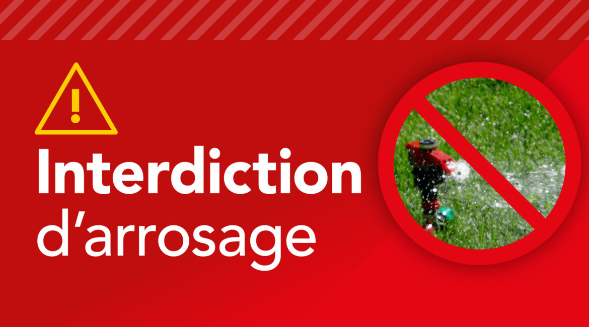 découvrez les dernières informations sur l'interdiction d'arrosage dans le hampshire : raisons, dates en vigueur et conseils pour économiser l'eau face à cette mesure de restriction.