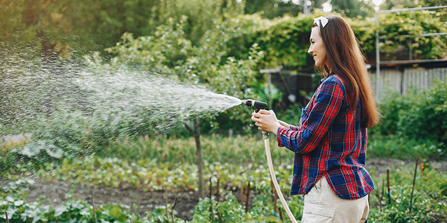 découvrez nos conseils pratiques pour un jardinage économe en eau. optimisez l'arrosage, choisissez des plantes résistantes à la sécheresse et adoptez des techniques durables pour préserver cette ressource précieuse tout en gardant un jardin luxuriant.