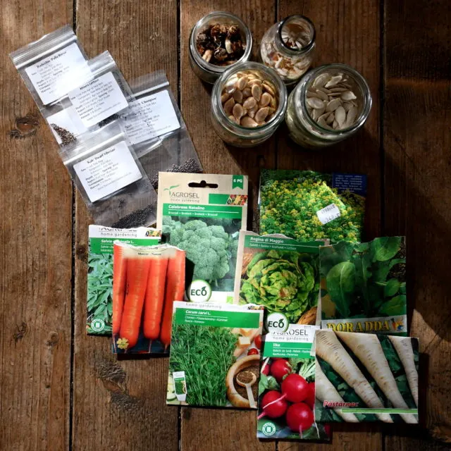 découvrez les principales tâches de jardinage à réaliser tout au long de l'année pour entretenir et embellir votre jardin. conseils pratiques et astuces pour jardiniers débutants ou expérimentés.