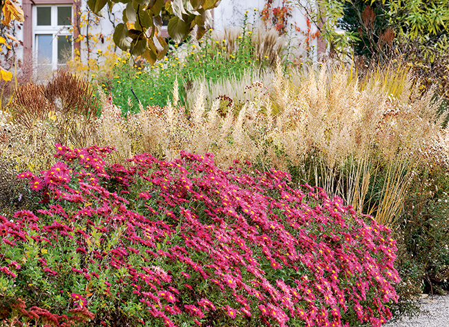 découvrez les meilleures plantes vivaces pour attirer et nourrir les oiseaux durant l'automne. conseils et idées pour un jardin accueillant et coloré jusqu'à la fin de la saison.