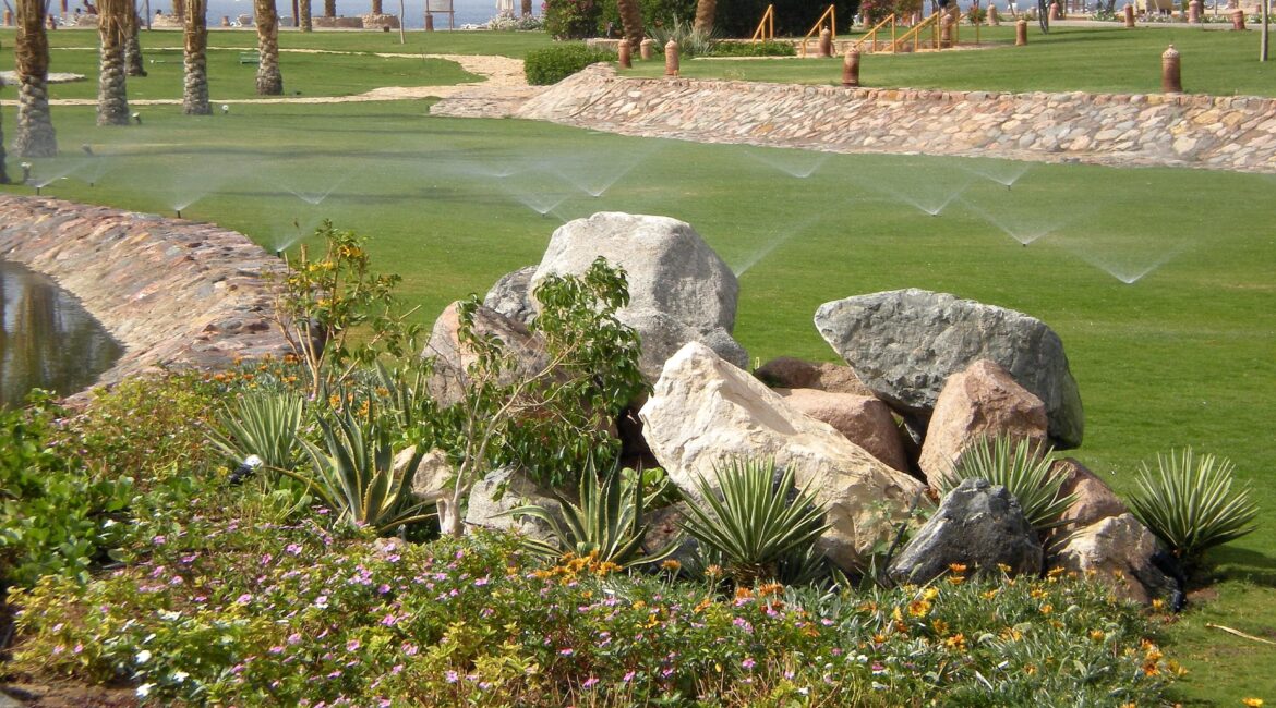 découvrez les meilleures solutions d'arrosage jardin pour 2026 : conseils, innovations et systèmes automatiques pour un jardin verdoyant toute l'année.