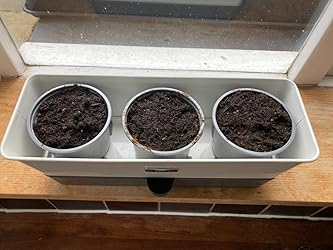 découvrez une astuce canadienne simple pour cultiver des légumes géants sans avoir à les arroser régulièrement.