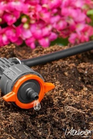 découvrez nos astuces d'arrosage essentielles pour préparer vos plantes avant l'hiver et assurer leur santé pendant la saison froide.