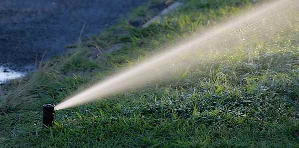 découvrez les meilleures astuces d'arrosage avant l'hiver pour protéger vos plantes et préparer votre jardin à la saison froide.