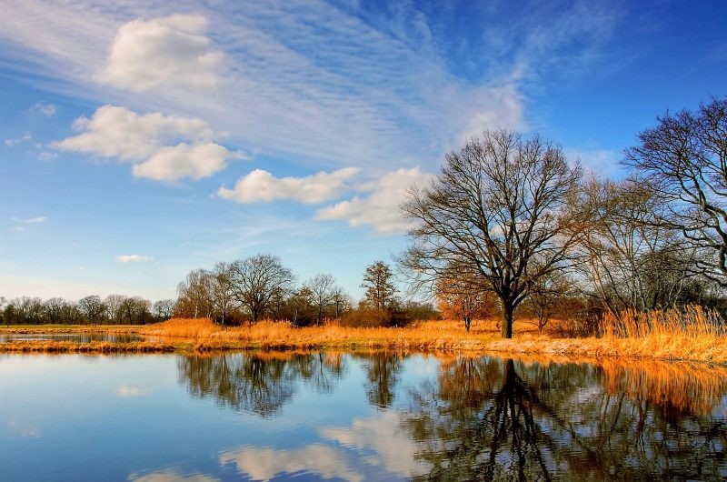 découvrez les risques liés à l'utilisation de l'eau d'arrosage pour les semis en novembre 2025 et comment protéger vos plantations efficacement.