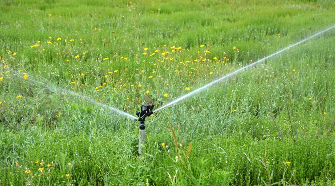 découvrez l'irrigation innovante au jardin de riorges, alliant technologie et écologie pour un jardin luxuriant et durable.