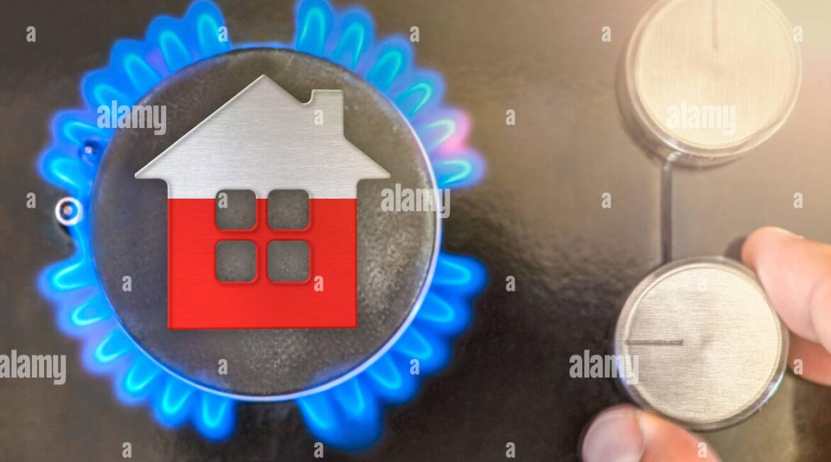 découvrez l'erreur fréquente d'arrosage hivernal près du chauffage qui dessèche vos plantes et apprenez comment les protéger efficacement pendant l'hiver.