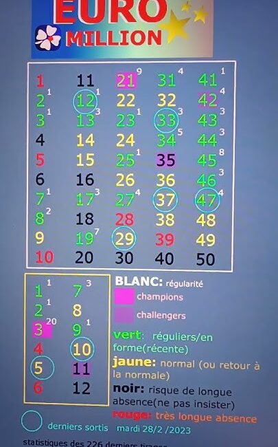 découvrez nos astuces pratiques de décembre pour protéger efficacement vos plantes d'intérieur des températures froides et garantir leur santé tout l'hiver.