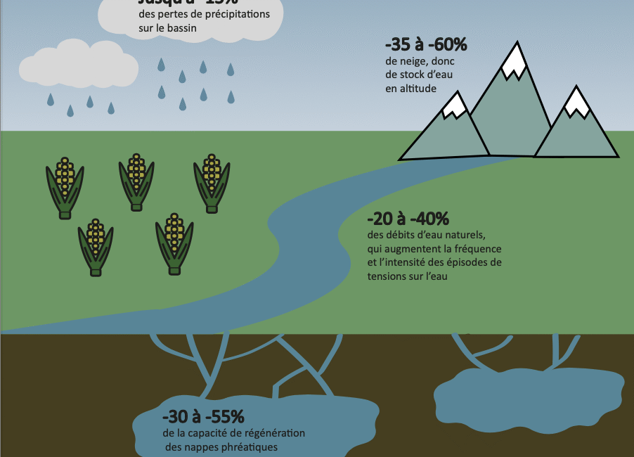 découvrez les techniques d'extraction d'eau et d'irrigation efficaces en plaine languedocienne pour optimiser l'agriculture locale et préserver les ressources naturelles.