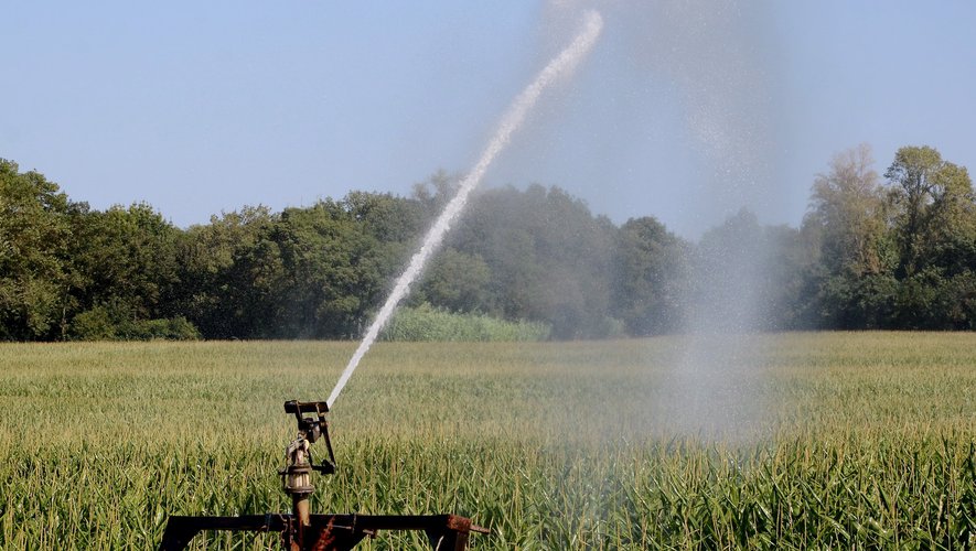 découvrez les techniques d'extraction d'eau et les méthodes d'irrigation adaptées à la plaine languedocienne pour optimiser l'agriculture durable dans cette région.