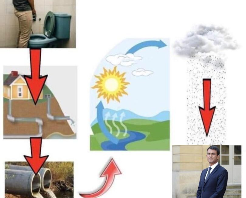 découvrez pourquoi chaque goutte d'eau est essentielle à la vie et comment préserver cette ressource précieuse pour notre avenir.