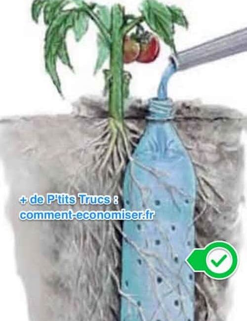 découvrez comment recycler vos bouteilles en plastique pour arroser efficacement votre potager et économiser de l'eau au quotidien.