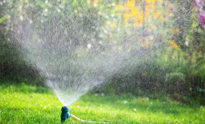 découvrez nos systèmes d'irrigation performants pour jardin, conçus pour optimiser l'arrosage, économiser l'eau et garantir la santé de vos plantes toute l'année.