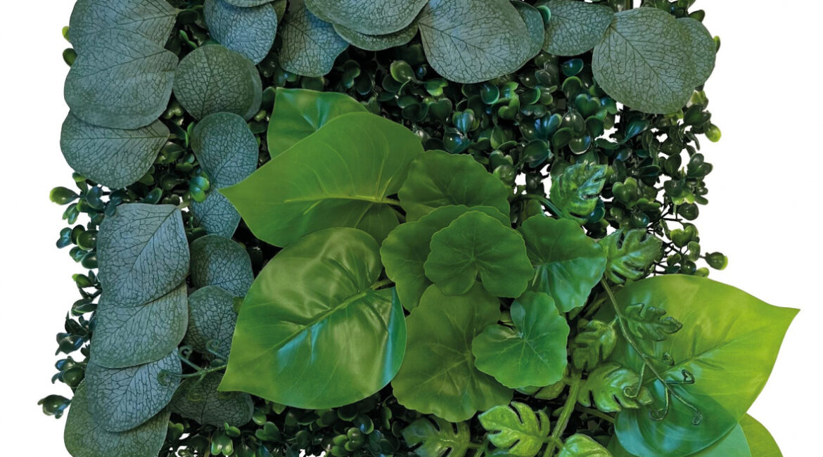 découvrez notre tapis végétal novateur, conçu pour un jardin autonome en eau, alliant esthétique et écologie pour un espace vert durable et facile à entretenir.