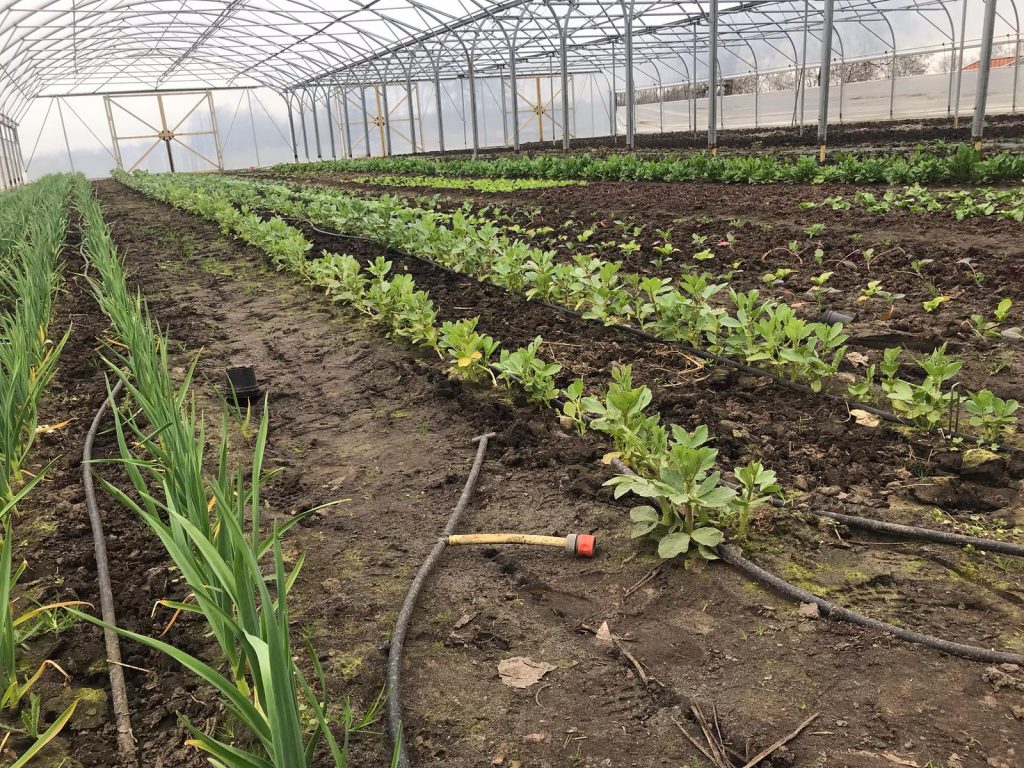 découvrez l'équipement d'arrosage gardena à 45€, l'accessoire incontournable pour entretenir votre jardin en hiver avec efficacité.