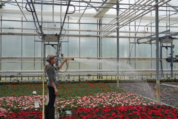 découvrez l'équipement d'arrosage gardena à 45€, l'incontournable pour entretenir votre jardin efficacement cet hiver.