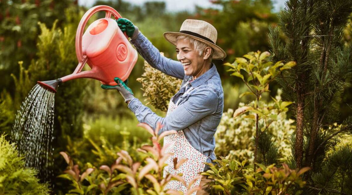 découvrez nos conseils pratiques pour arroser efficacement vos plantes en hiver et les garder en bonne santé malgré le froid.