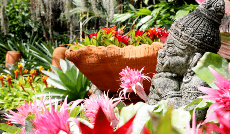 découvrez 7 gestes essentiels pour protéger vos plantes pendant la canicule et préserver leur fraîcheur malgré la chaleur intense.