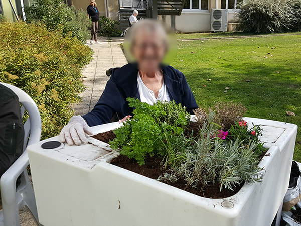 découvrez les meilleures astuces de jardinage automnal 2026 pour préserver la douceur et maîtriser l'eau, afin d'assurer un jardin sain et florissant tout au long de la saison.