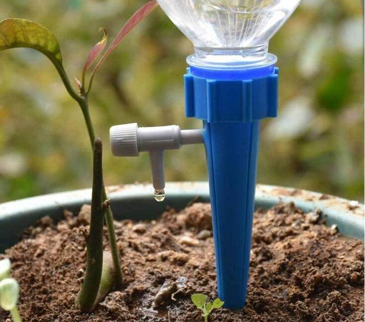 découvrez les meilleures techniques d'arrosage pour vos plantes d'intérieur afin de favoriser leur croissance et leur santé toute l'année.