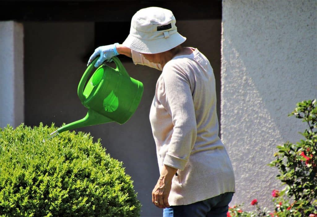 découvrez comment assurer un arrosage optimal de votre jardin pour favoriser une croissance saine et luxuriance de vos plantes tout en économisant l'eau.