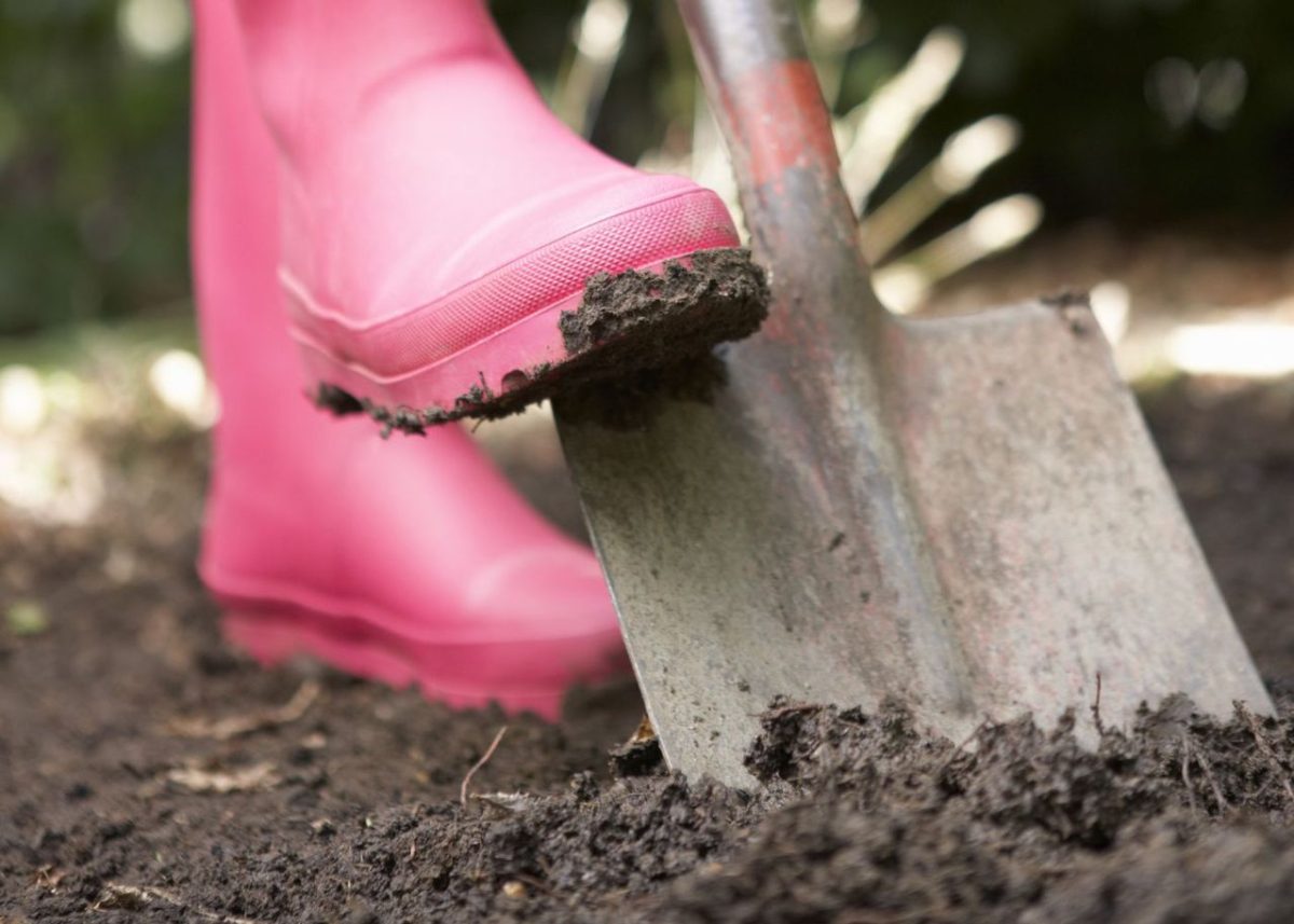 découvrez les astuces de jardinage populaires sur tiktok qui pourraient être dangereuses pour votre sol et apprenez à protéger votre jardin efficacement.