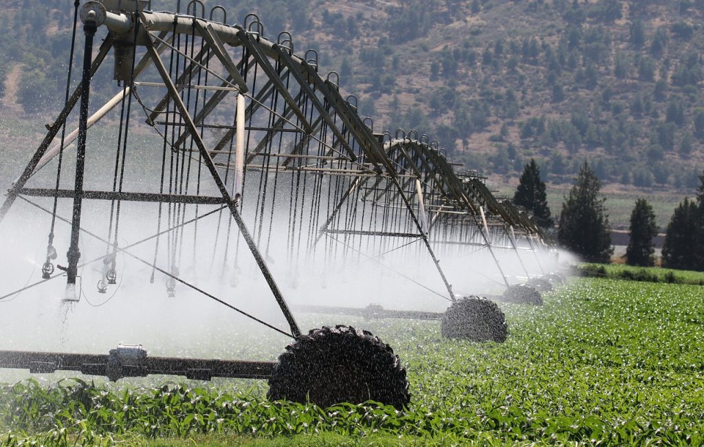 découvrez les erreurs courantes d'irrigation à éviter pour optimiser l'arrosage de vos plantes et préserver l'eau efficacement.