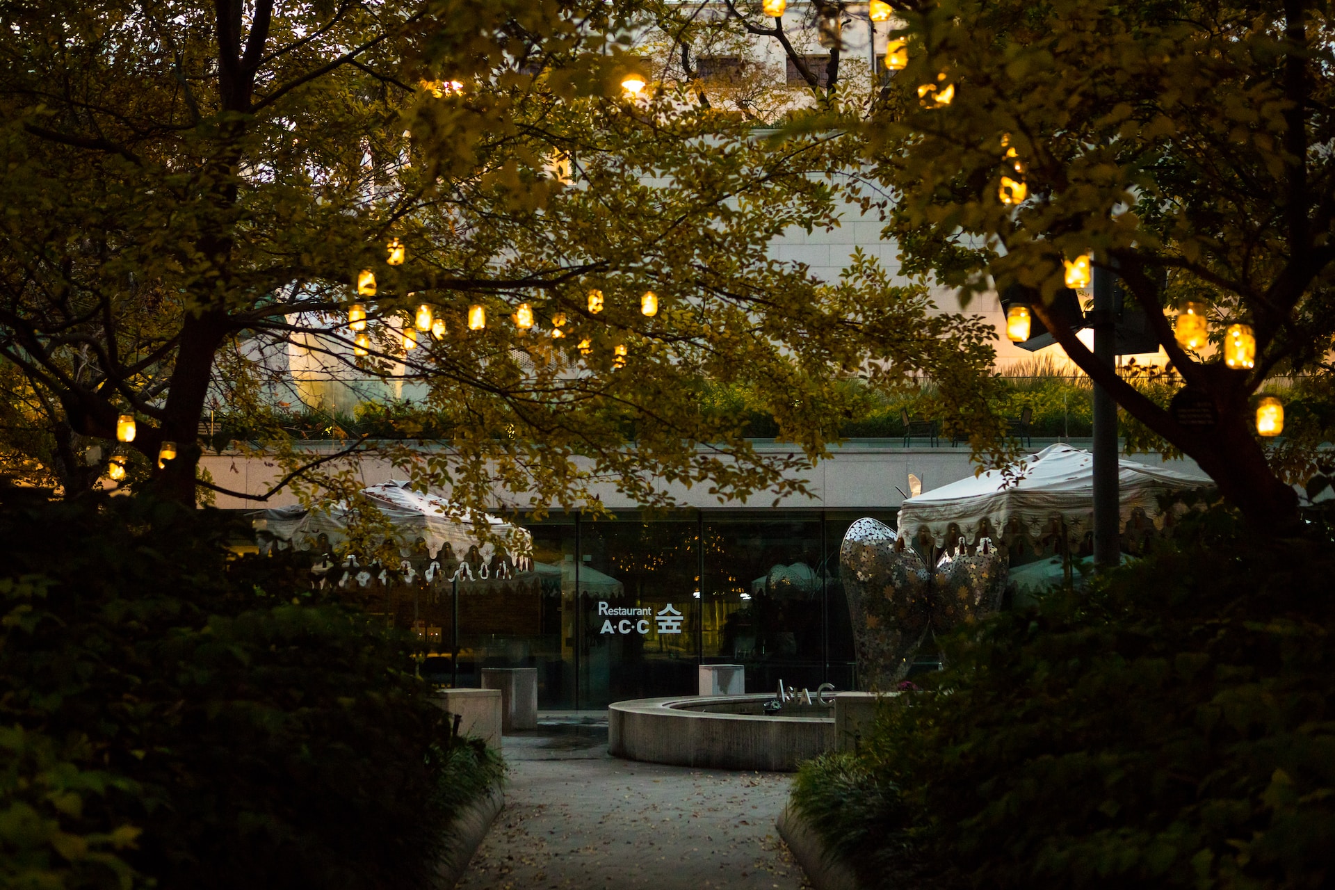 découvrez un jardin enchanté, magnifiquement illuminé par une lumière douce et chaleureuse, créant une ambiance magique et accueillante.