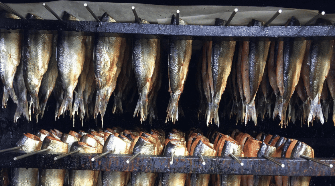 découvrez les soins indispensables pour préserver vos jeunes plants au printemps 2026 et éviter qu'ils ne périssent. suivez nos conseils pour un jardin florissant.