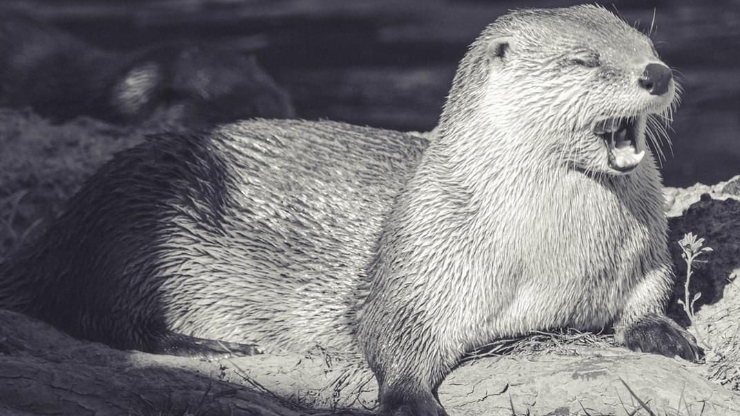 au printemps 2026, découvrez les soins essentiels pour protéger vos jeunes plants et éviter qu'ils ne meurent prématurément. suivez nos conseils pour un jardinage réussi.