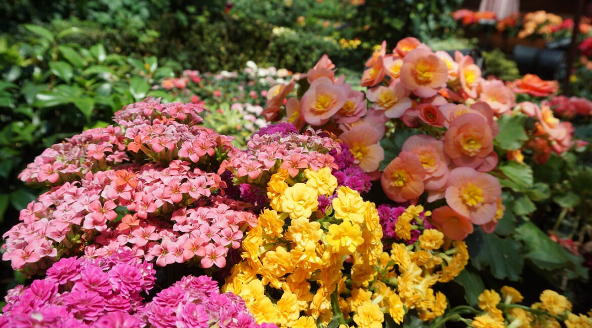 découvrez les tendances jardin 2026 à éviter pour ne pas commettre d'erreurs dans l'aménagement de votre extérieur et créer un espace harmonieux et moderne.