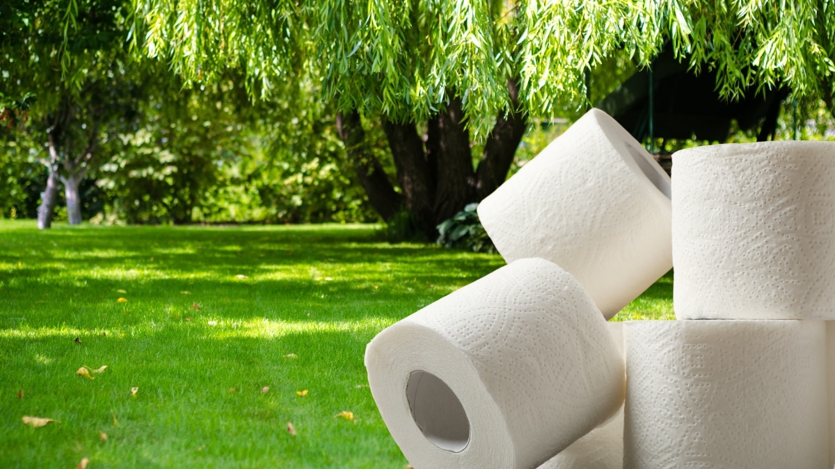 découvrez la méthode rapide pour poser du gazon en plaques et obtenir une pelouse parfaite en un temps record.