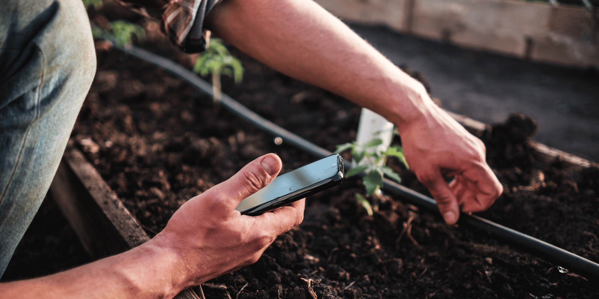 découvrez le jardin connecté alliant arrosage automatique, gestion de bassin et pergola high-tech pour un extérieur moderne et facile à vivre.