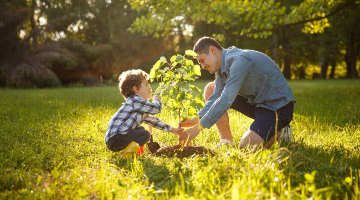 découvrez le secret pour jardiner sans toucher la terre avec une solution simple et économique à moins de 2 €. transformez votre jardinage dès aujourd'hui !