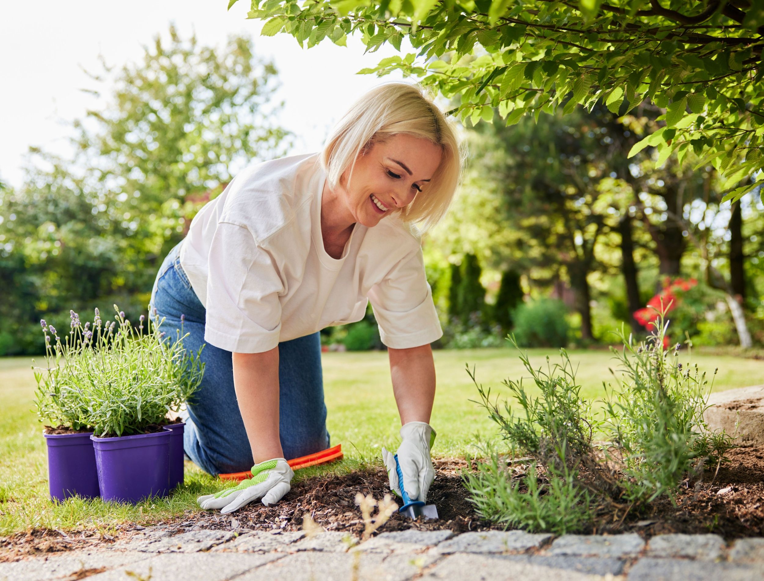découvrez le slow gardening, une approche sereine et durable du jardinage qui respecte la nature et favorise le bien-être.