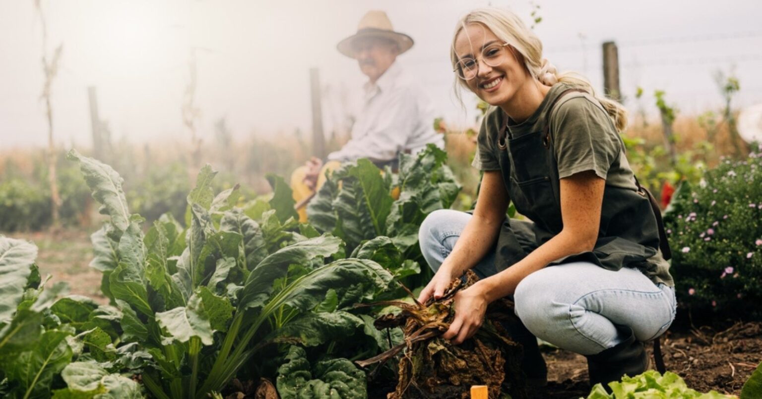 réduisez les déchets de votre jardin et économisez l'eau en adoptant des astuces simples pour arroser efficacement vos légumes en été.